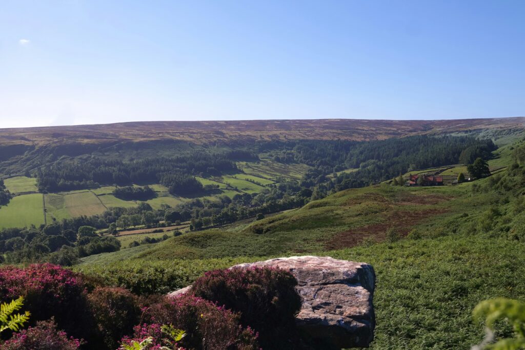 North York Moors, Whitby, UK. Photo by Andy Carne on Unsplash